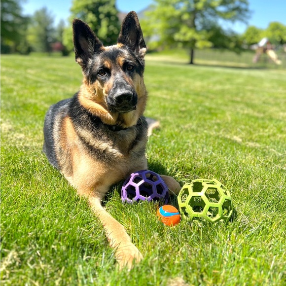 Like this to save my closet! 🛍 - Picture 2 of 5